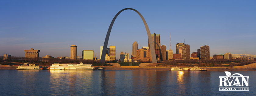 Matchmaking service st louis