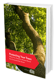 You've heard of the Emerald Ash Border, but what is it, exactly? Find out now with this guide from Ryan Lawn & Tree.
