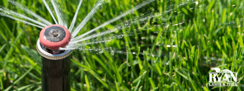 irrigation faqs