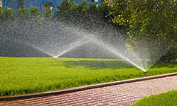 Smart Irrigation Saves You Money!