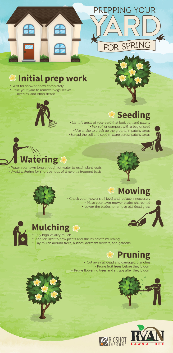 Spring Lawn Care Infographic
