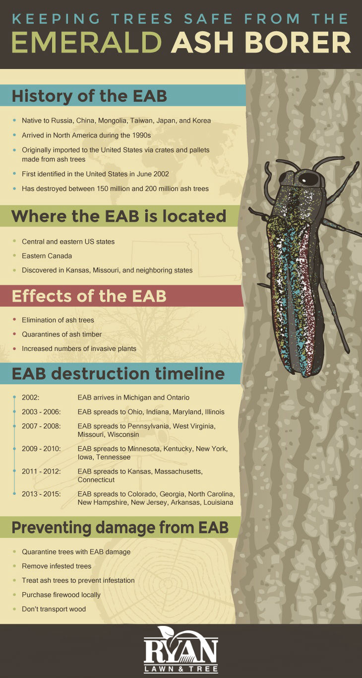 EAB Infographic1