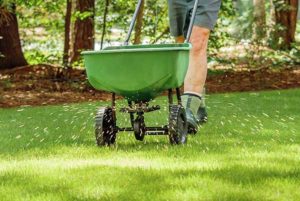 lawn-fertilizer-spreader-autumn-image
