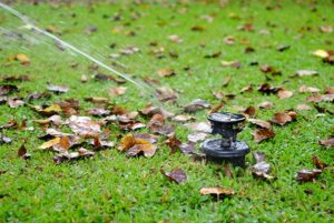 water-lawn-in-the-fall-months-image