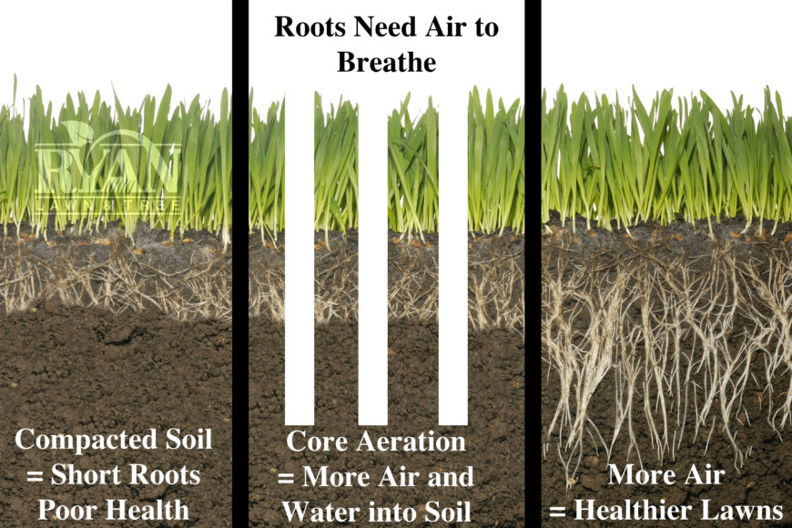 the benefits of aeration ryan lawn tree the benefits of aeration ryan lawn tree