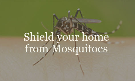 Ryan Lawn & Tree's mosquito barrier is highly effective in keeping these pesky invaders away.