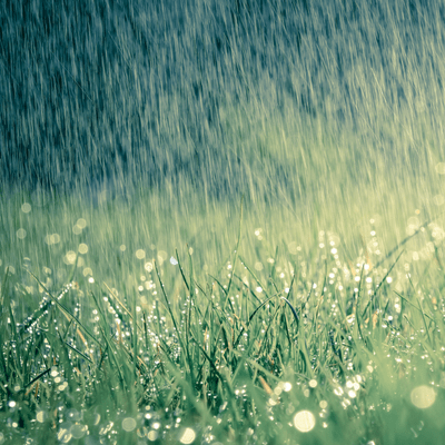 Stop your sprinklers from running when it's raining, automatically!