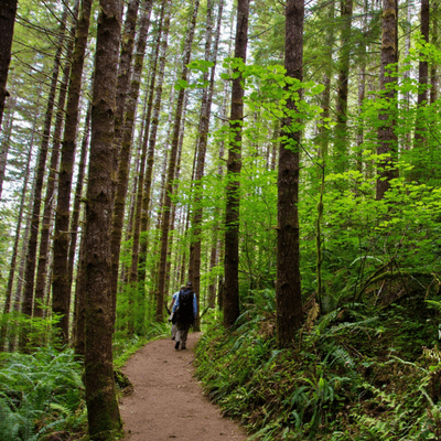Follow your favorite forest trail and enjoy the fresh air.