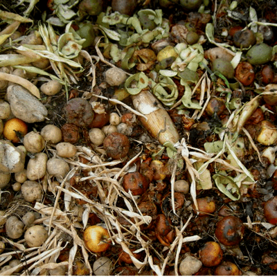 Compost is composed of partially decomposed matter.