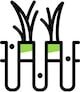 Lawn Aeration