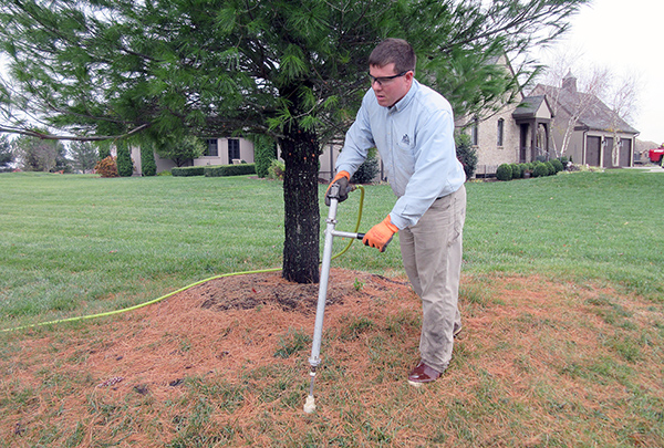 Trees, Shrubs & Evergreens, Fertilizer