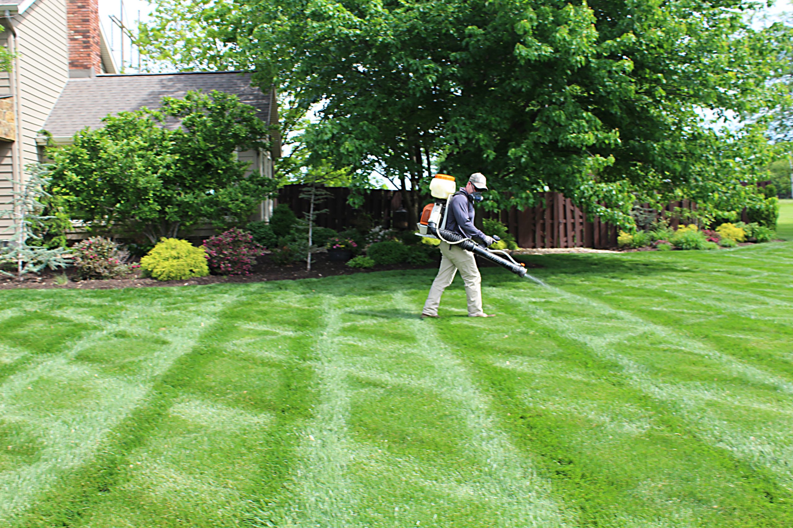 Best Lawn Care Service | Aerate, Seeding Lawn in Spring | RYAN Lawn