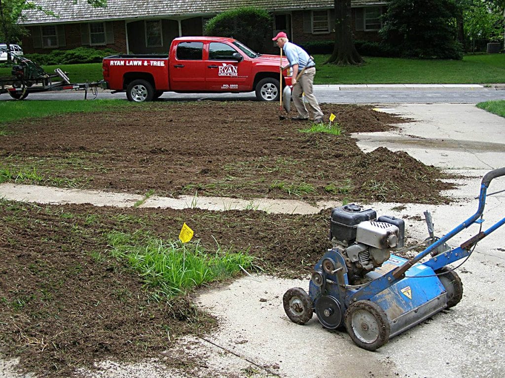 Lawn Seed Planting Grass Seed in Fall Ryan Lawn & Tree