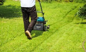 mowing-grass-specific-height