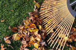 how-to-tend-to-falling-leaves-in-your-lawn