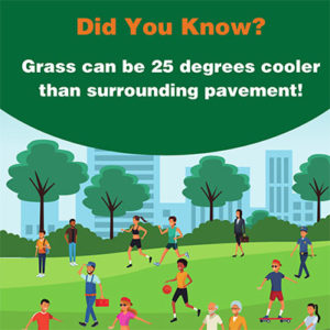 did-you-know-lawn-face-25-degrees-cooler