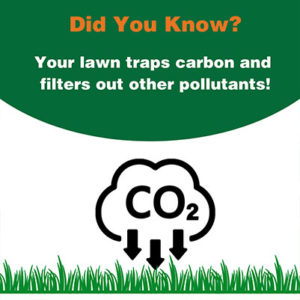 did-you-know-lawn-face-filters-pollutants