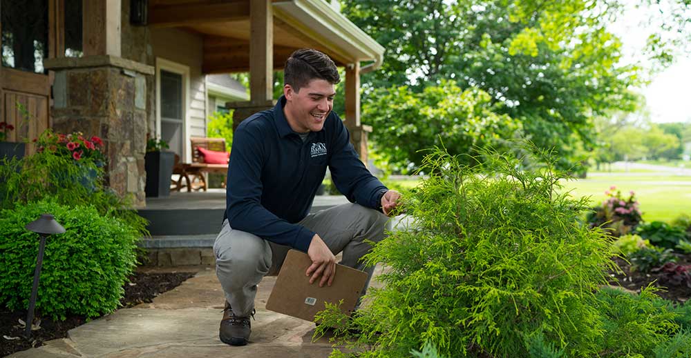 Tree Trimming Jobs Kansas City Arborist Careers KC RYAN