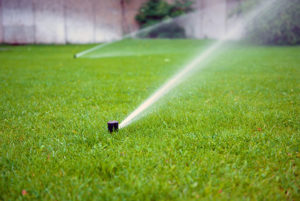 lawn-sprinkler-watering-image