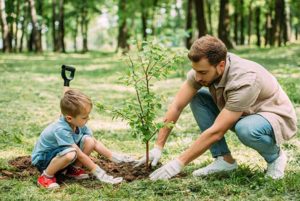 father son plant tree