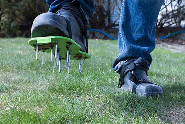 10 Gift Ideas For Lawn & Landscape Lovers | Ryan Lawn & Tree