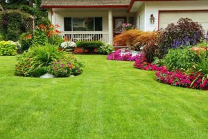 manicured-lawn-and-flower-bed