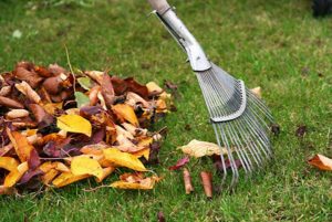 rake-leaves-autumn-lawn-maintenance