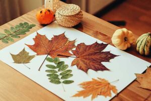autumn leaf crafts