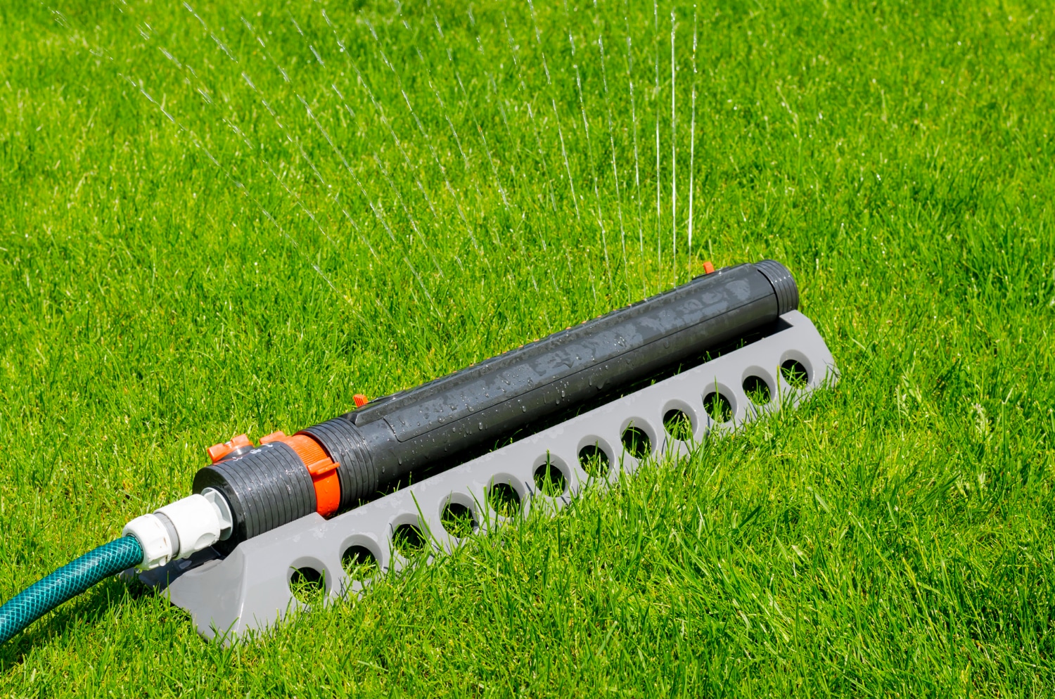 sprinkler system