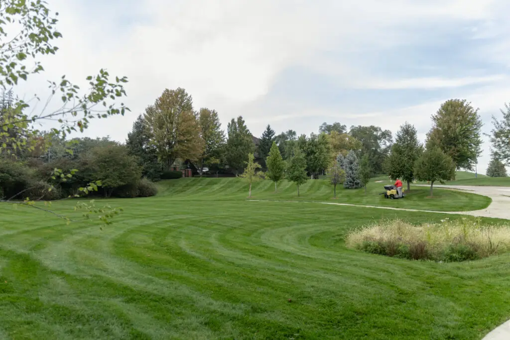 clean fresh lawn