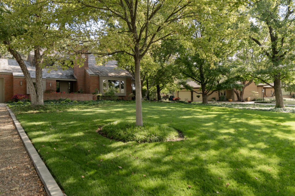 thick green grass and healthy trees