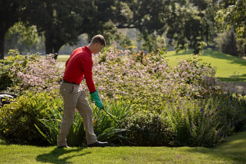 insect treatment