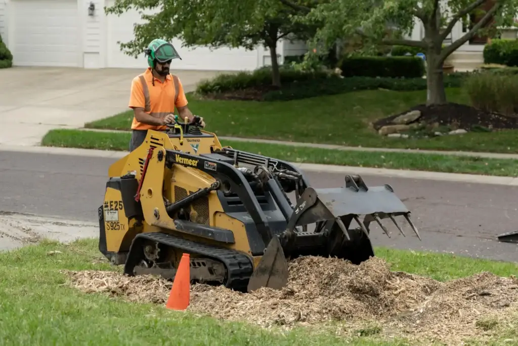 ryan pro grinding a stump