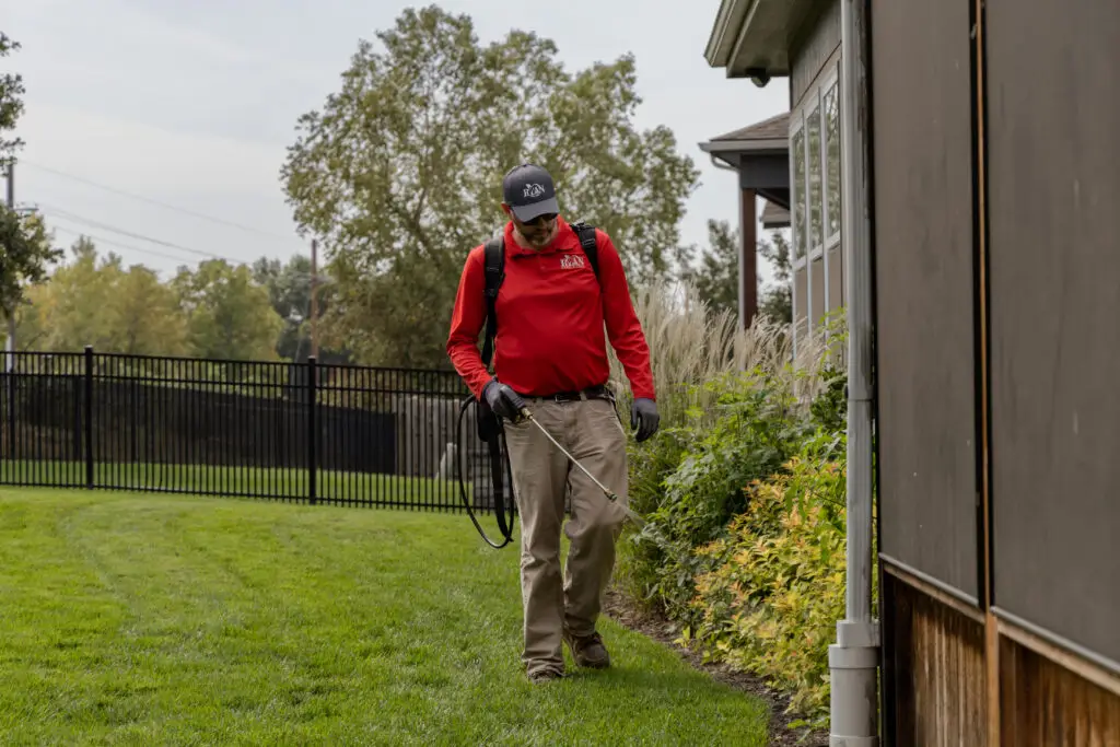 ryan pro spraying for bugs near the house