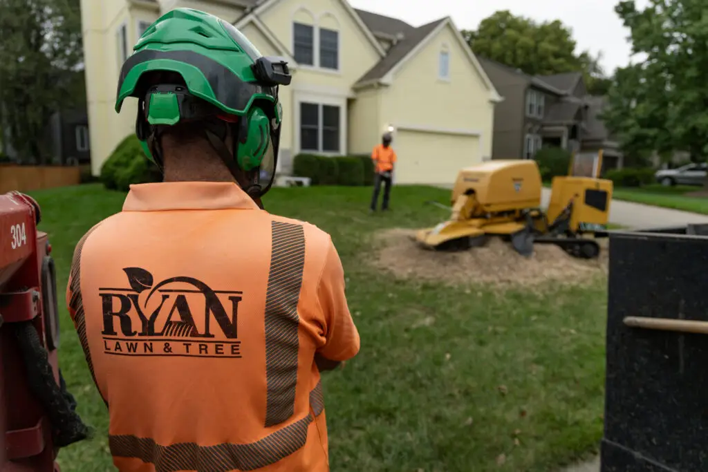 stump grinding and removal