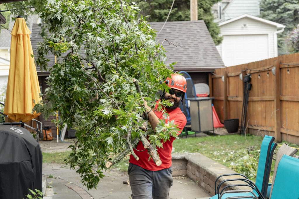 tree pruning